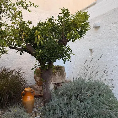 Palazzo Rodio Apartment *